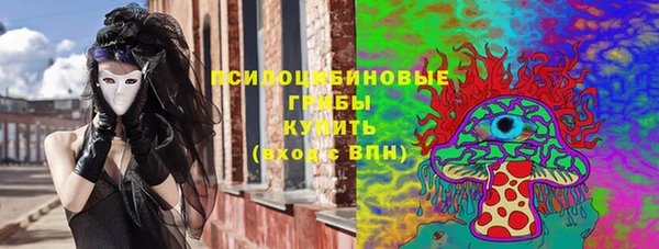 бошки Абаза