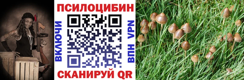 Псилоцибиновые грибы ЛСД  где купить наркотик  Трубчевск 